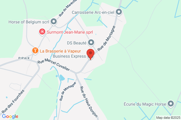 Business Express Sprl