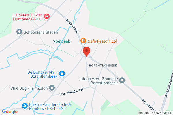 Heyvaerts