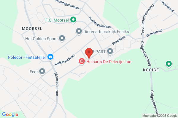 't Mezennestje