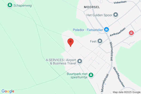 Degreef Betty