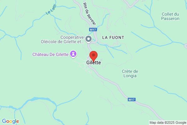 Gillet France