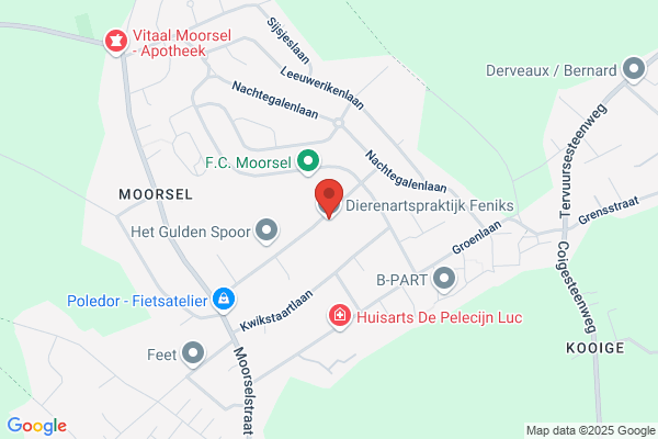 Dierenartsenpraktijk Feniks