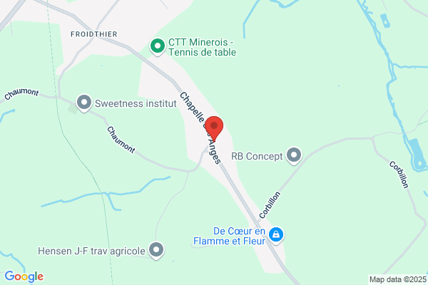Pirenne & Ooms