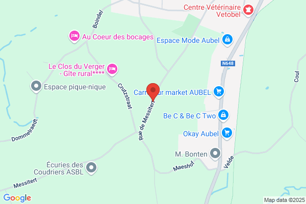 Somja Georges (Carrosserie)