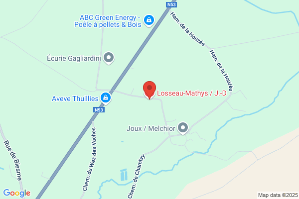 Losseau M