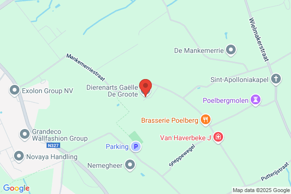 Craeysmeersch F