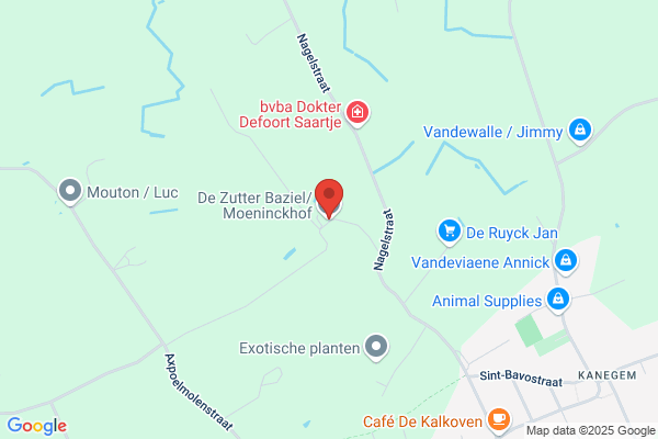 De Coninck/Frits