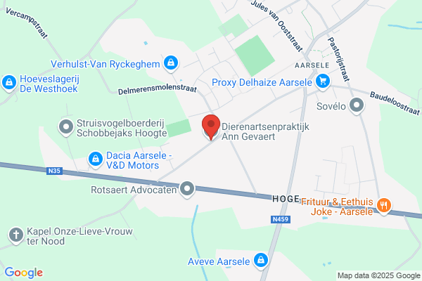 Gevaert/Ann