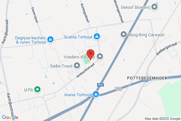 Schollier/Noel