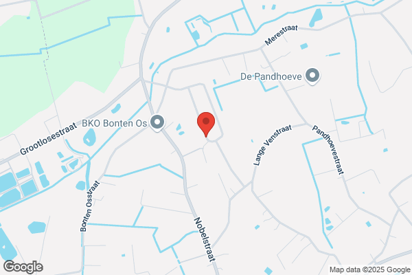 De Roover/Roger