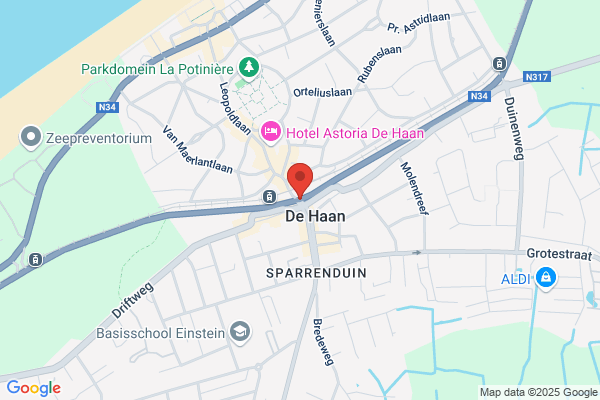 Den Haan