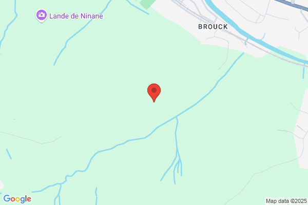 Tarquini/Adelio