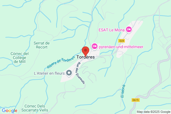 Tordeurs/Carine