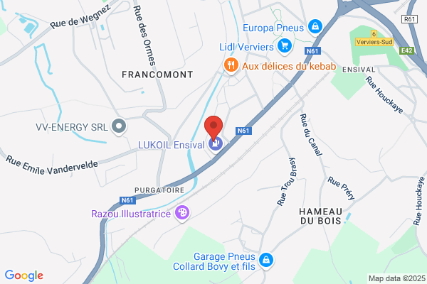 Dison-Net