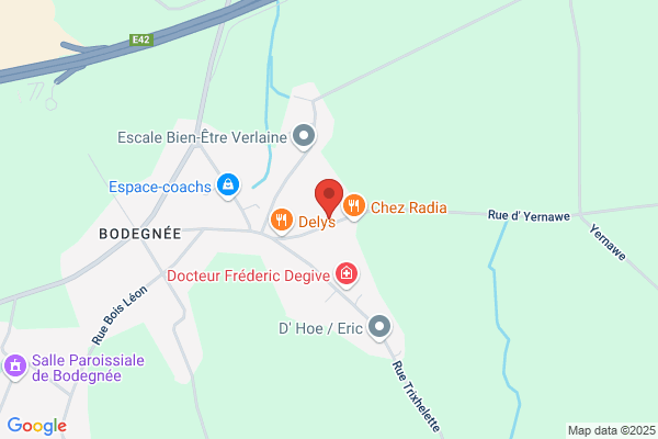 Delvaux Services Sa