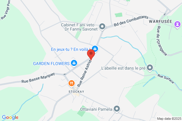 Police De Saint-Georges