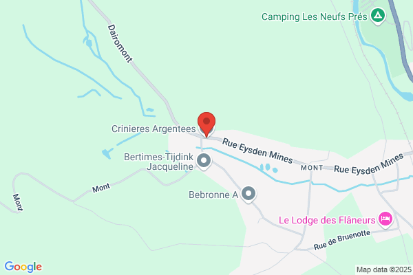 Crinieres Argentees Asbl
