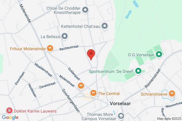 Geerts Plafonneringswerken Bvba