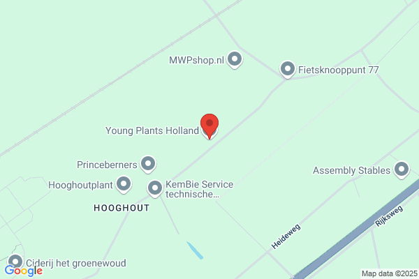 Young Plants International