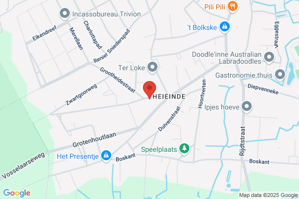 Vanhout/Guido
