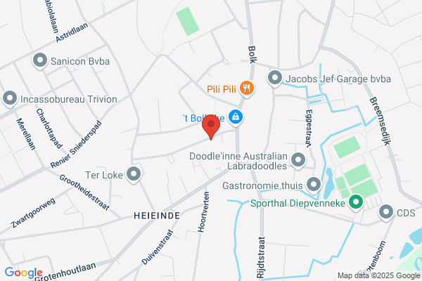 Peeters Hein