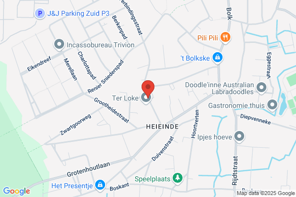 De Berken