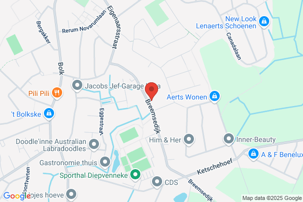 Laurijssen A