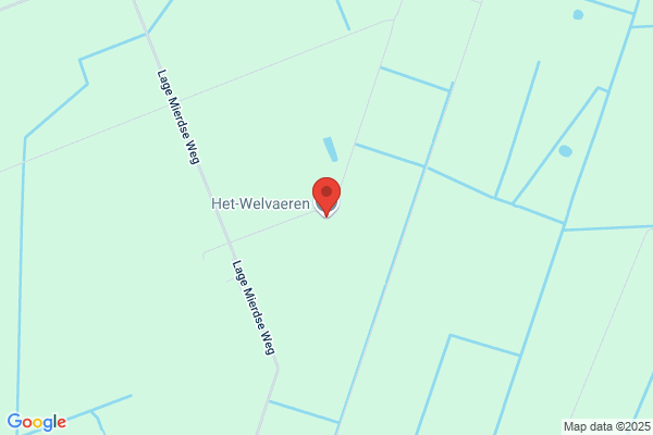 Wijnants-Thielemans