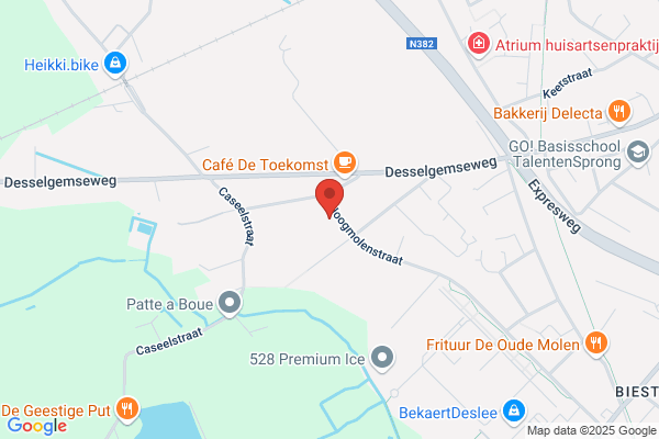 Poll Van Ghent