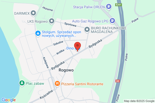 Rogiers Dino