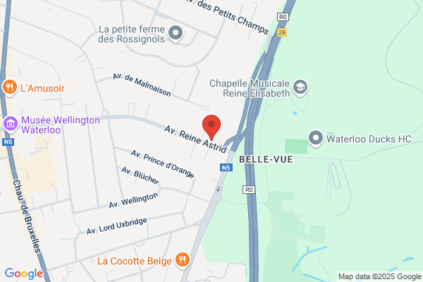 Dima