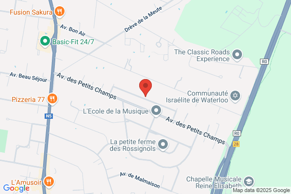 Hollander/Marc