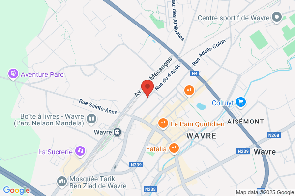 Cours Commerciaux Et Industriels De La Ville De wavre