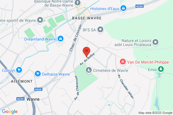 De Wilde D'estmael T