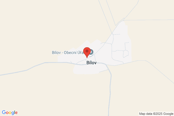 Bilyve