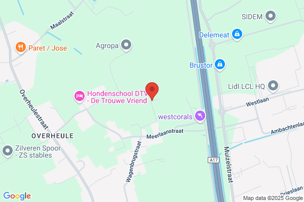 Mobiele Carwash Demuynck & Co
