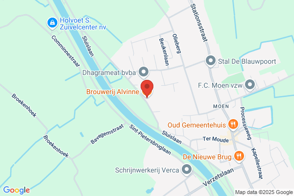 Alvinne Bierevenementen