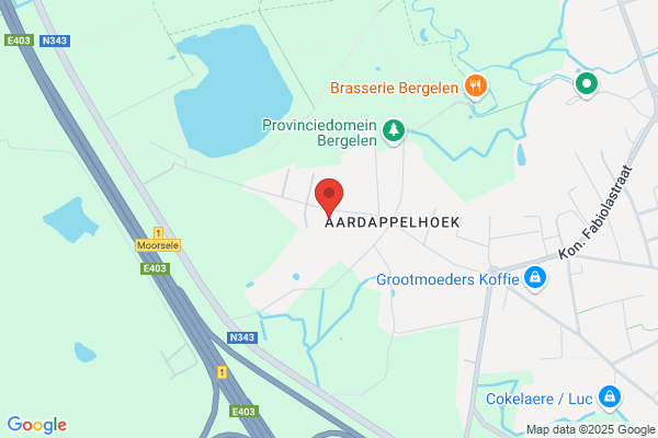 Import-Export Gedimex