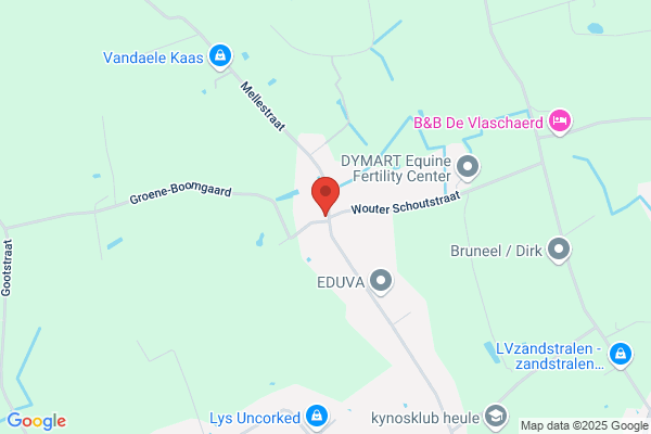 Dezitter R