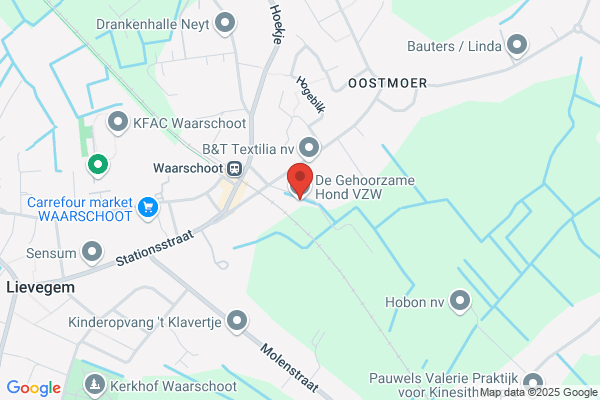Gehoorzame Hond (De) Vzw