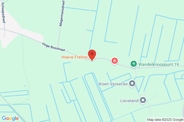 Vereecke J