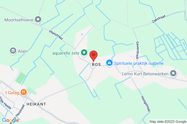 Car Service Zele