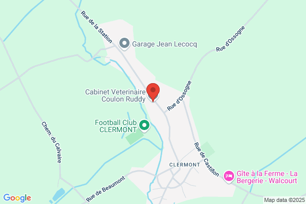 Coulon/Ruddy