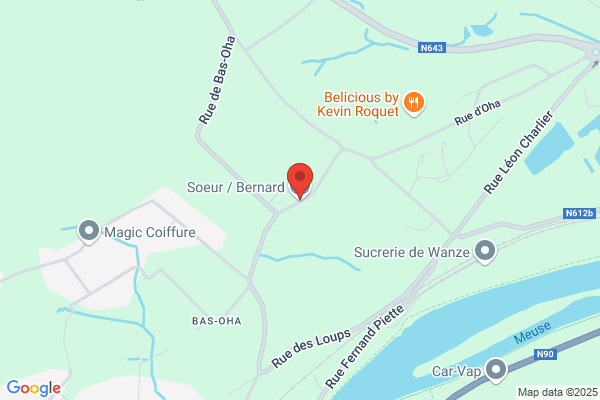 Soeur/Véronique