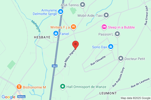 De Neuville X