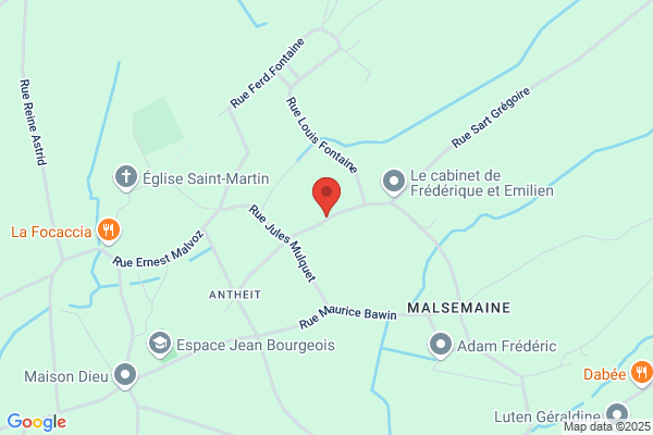 Lesur G.