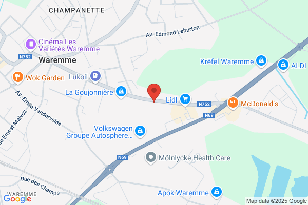 Cigogne D'or (La)