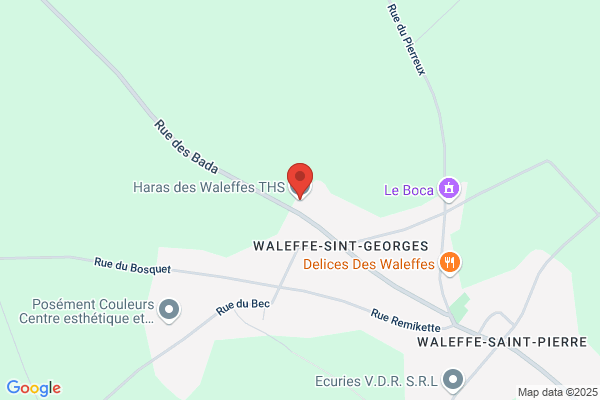 Haras De Meeffe