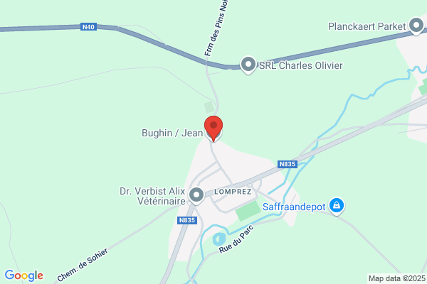 Bughin/Jean