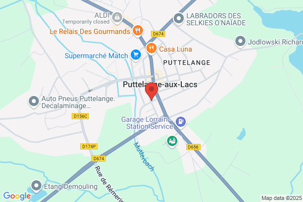 WebsiteCreation + Développement de projets Internet